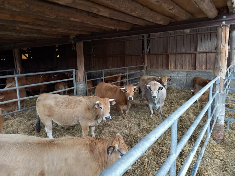 La Ferme du Mont Charvet La Ferme du Mont Charvet