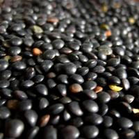 Les légumes secs en vrac Les légumes secs en vrac