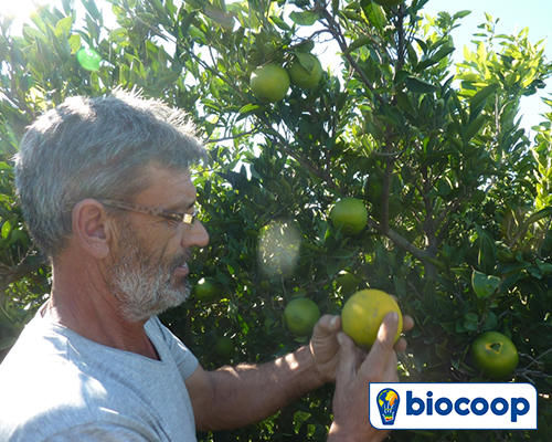 Les origines de nos produits