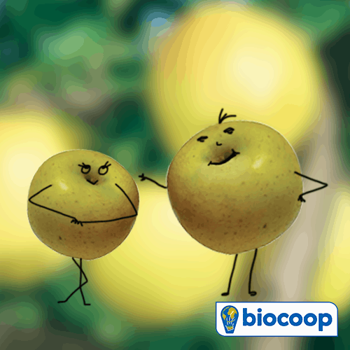 Le fruit du mois d'octobre : la pomme Le fruit du mois d'octobre : la pomme
