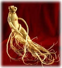 Le Ginseng